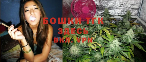 PSILOCYBIN Струнино